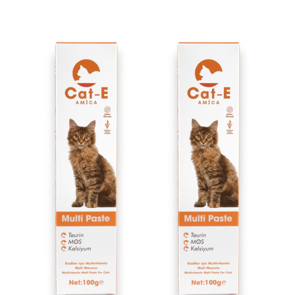 MULTİVİTAMİN PASTE 2Lİ SET