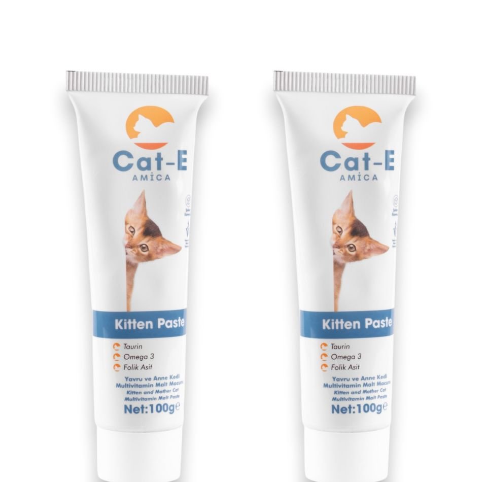 KİTTEN PASTE 2Lİ SET