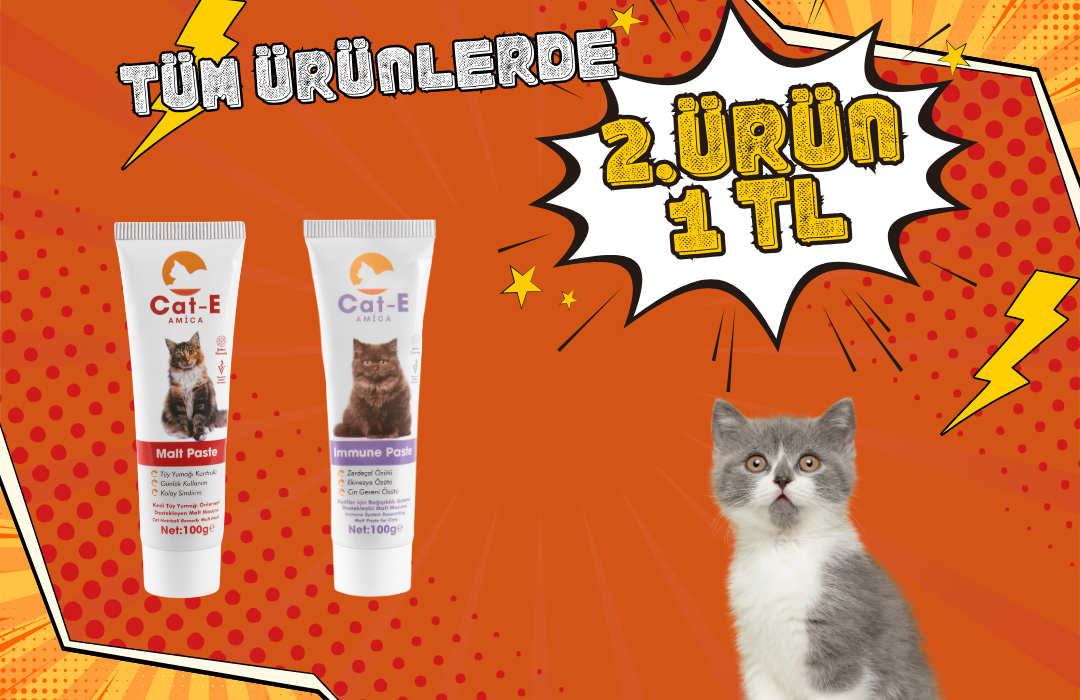 TÜM ÜRÜNLERDE 3 AL 2 ÖDE